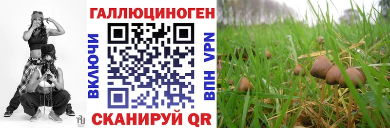 Псилоцибиновые грибы мухоморы  сколько стоит  Зубцов 
